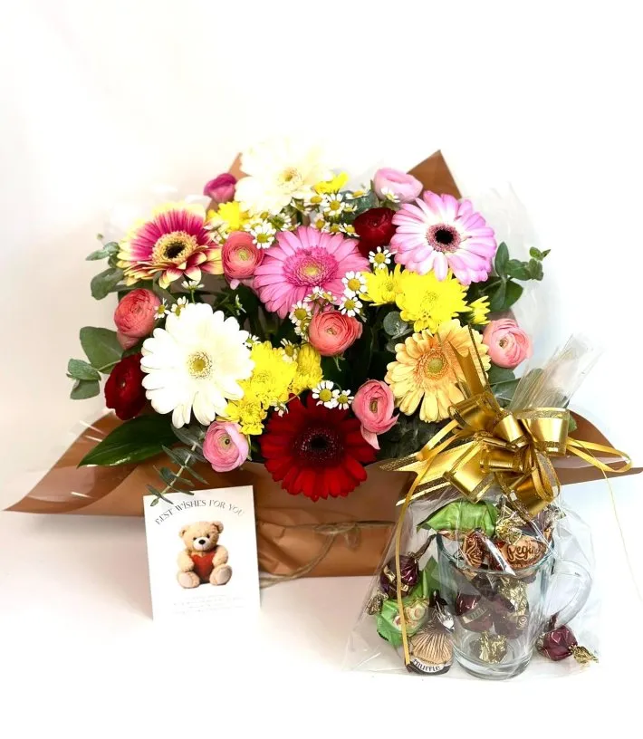 WhatsApp Image 2026-01-22 at 11.56.05